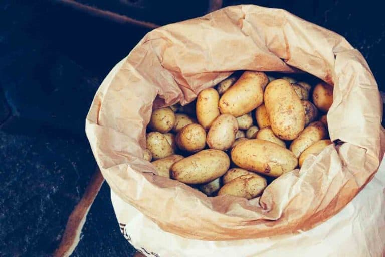 5 Best Potato Storage Containers (+ Safe Storage Tips)
