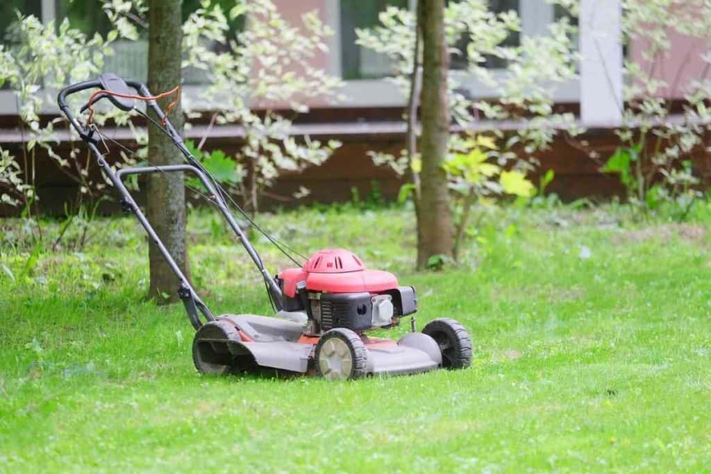 Pros and Cons Of Self-Propelled Lawn Mowers