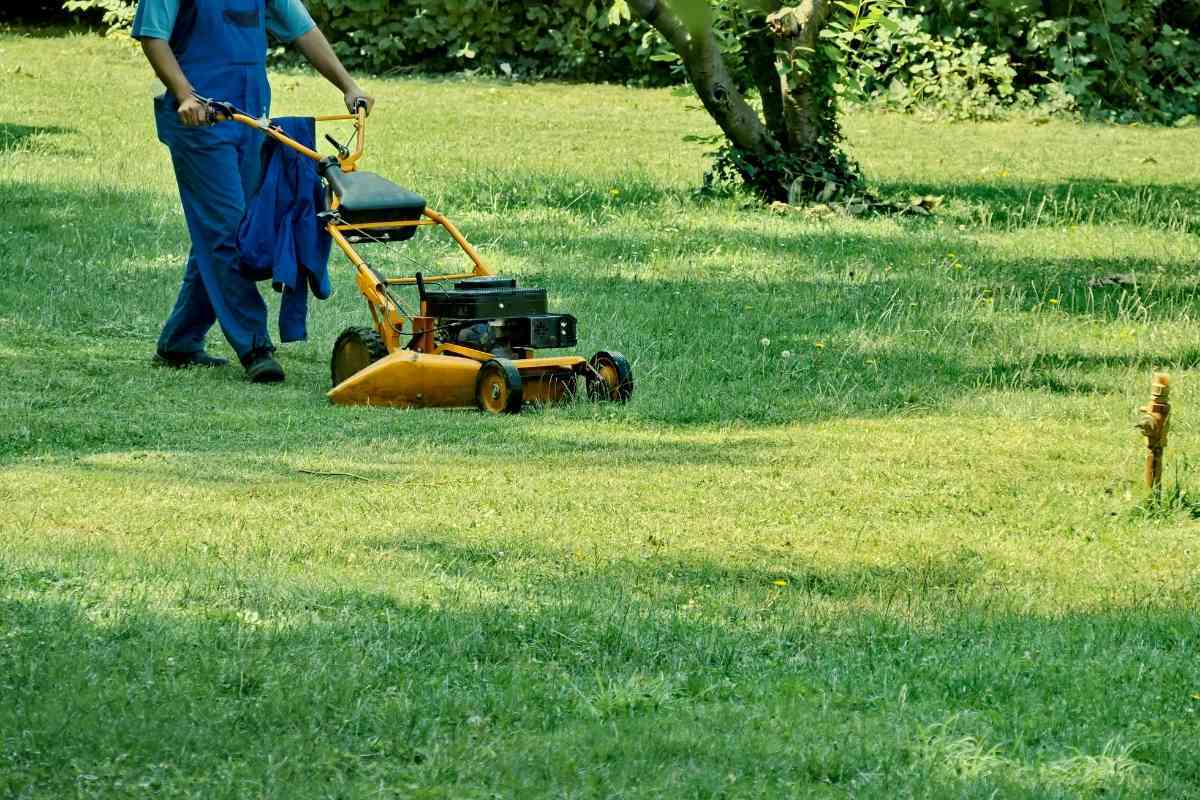 Pros and Cons Of Self-Propelled Lawn Mowers