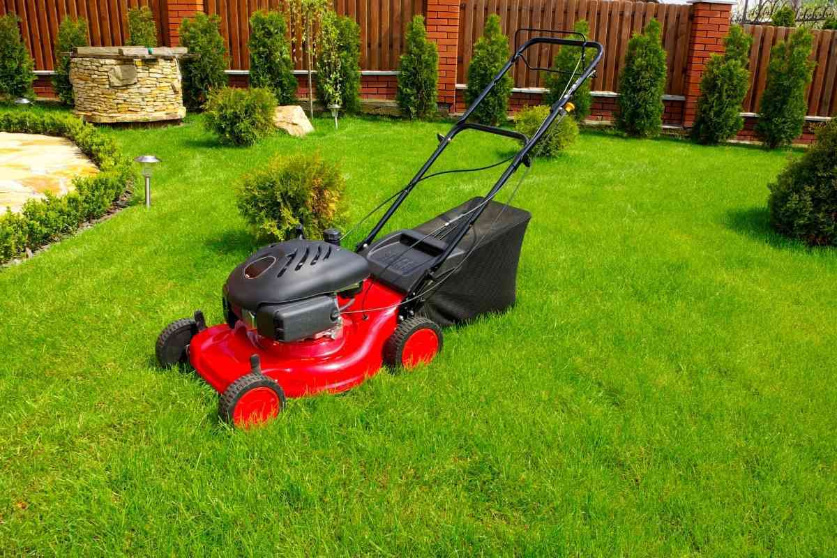 Who Makes Toro Mowers? (Everything You Need to Know!)