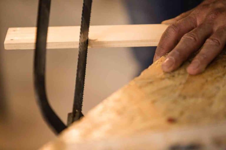 Best Hand Saw For Cutting Tree Trunks (2024 Updated)