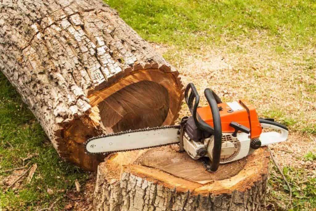 Types Of Power Saws