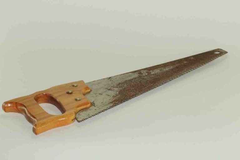 13 Different Types of Hand Saws (With PHOTOS)