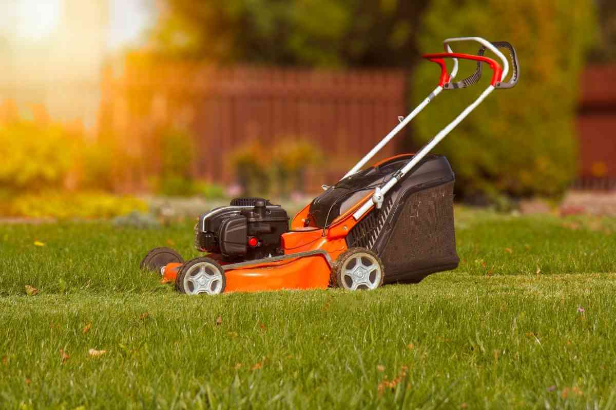 Who makes cub cadets mowers cub cadet origin 