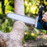 How to Hold Logs While Cutting with Chainsaw