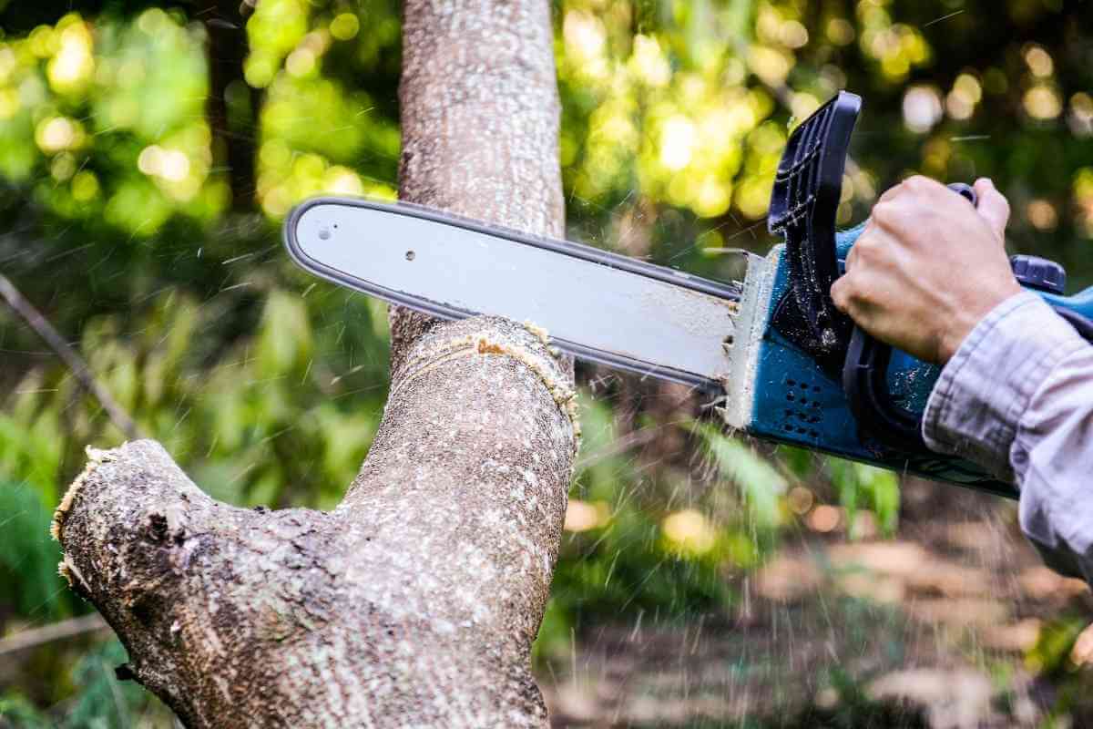 How To Cut Logs With A Chainsaw (4 Easy Steps)