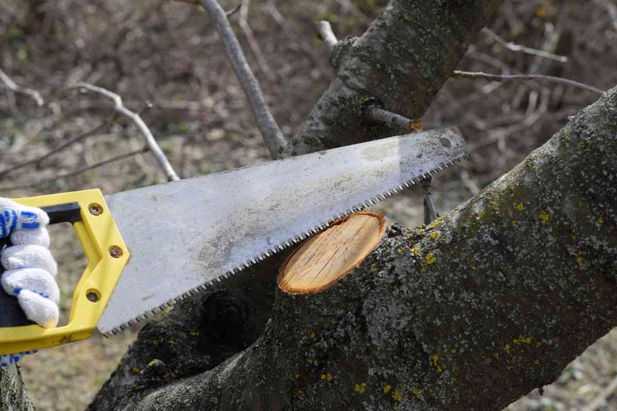 Hacksaw Vs Sawzall (Key Differences)