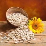 Facts About Sunflower Seeds