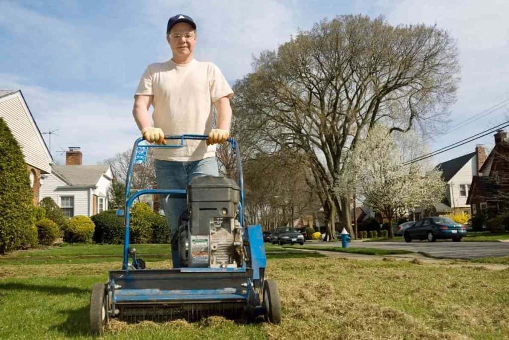 Do dethatching 2025 blades work