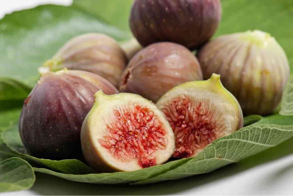 Is Fig a Fruit