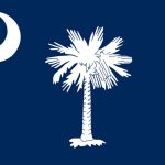 Types of Palm Trees in South Carolina