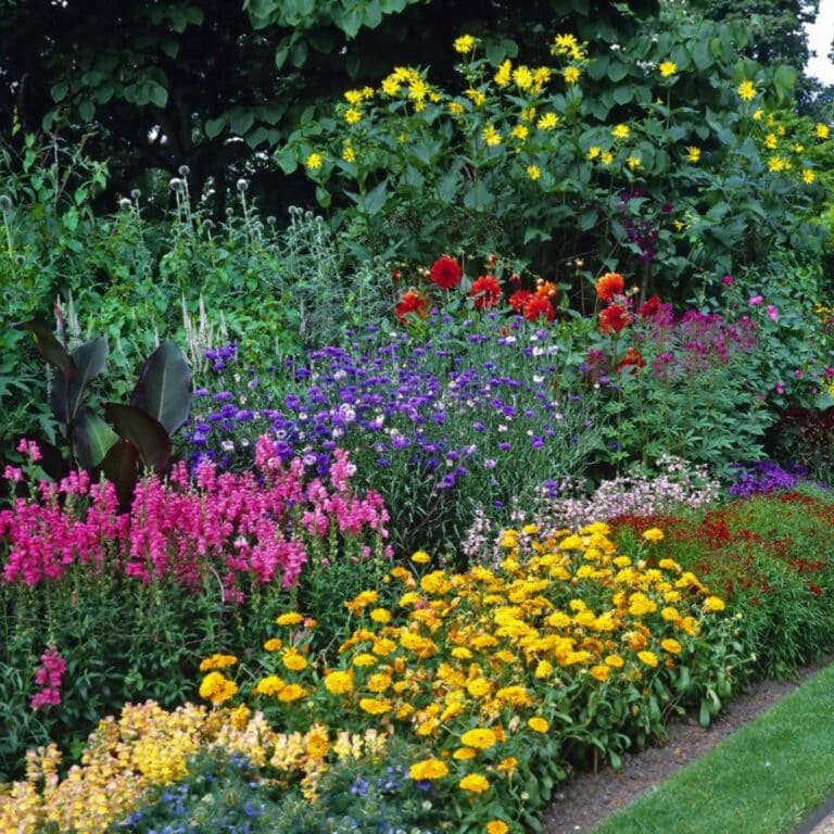 Gardening Bank | Pro Gardening Tips and Tricks