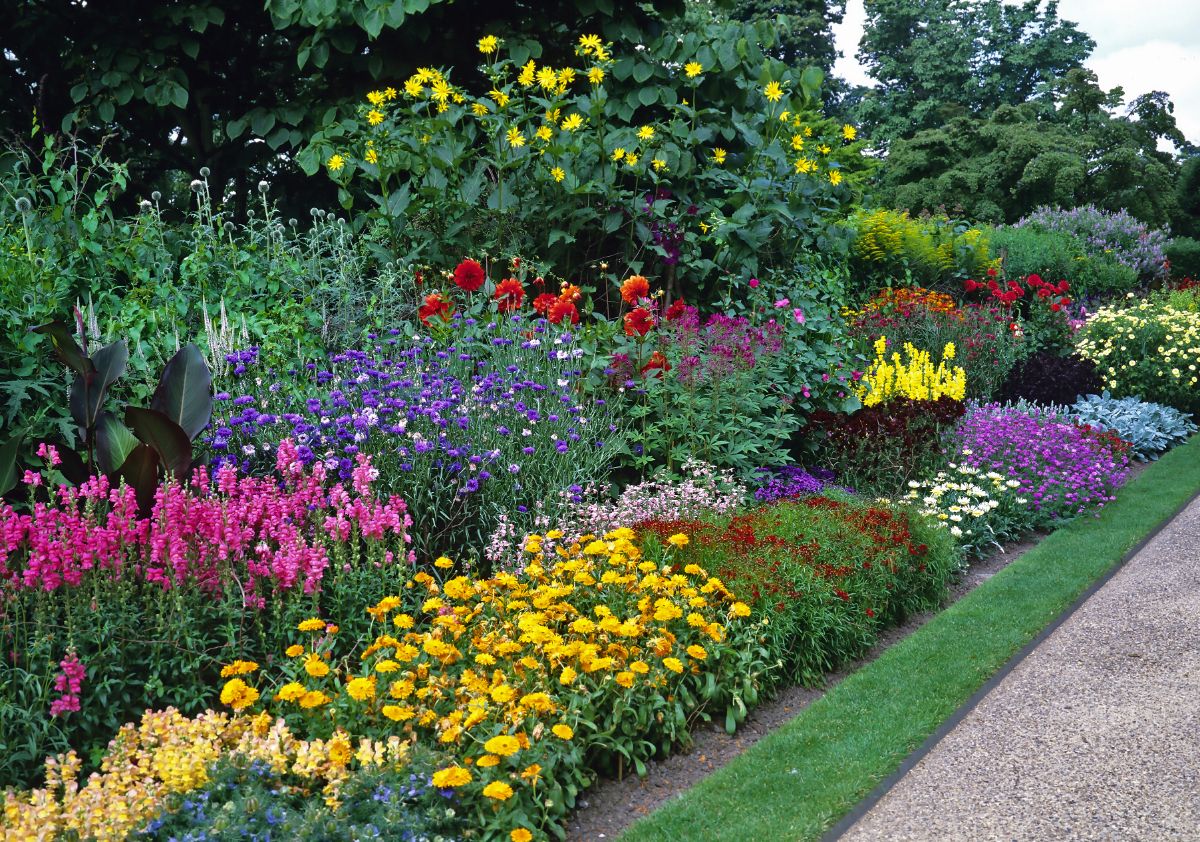 A beautiful blooming perennial garden.