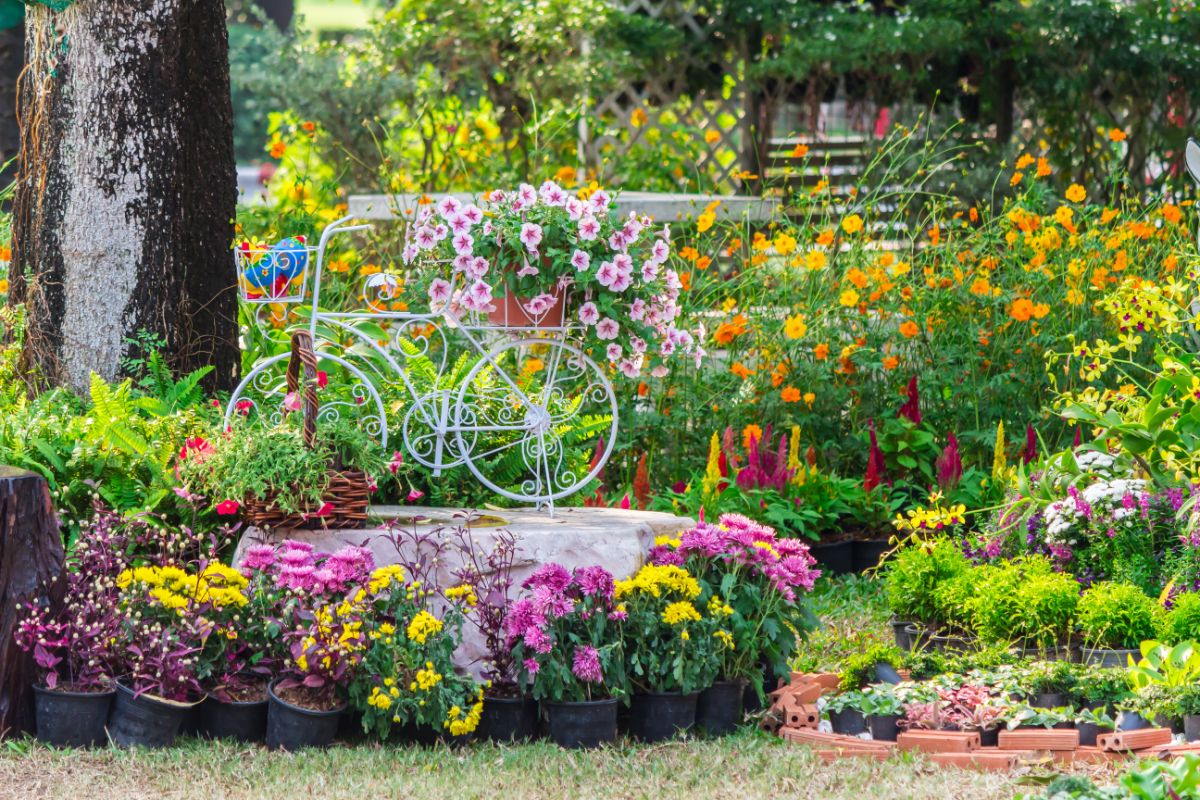 A beautiful backyard garden with different varieties of blooming flowers and a bicycle.
