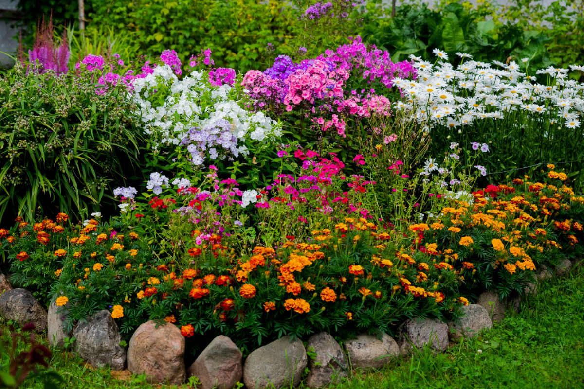 A beautiful blooming perennial garden.
