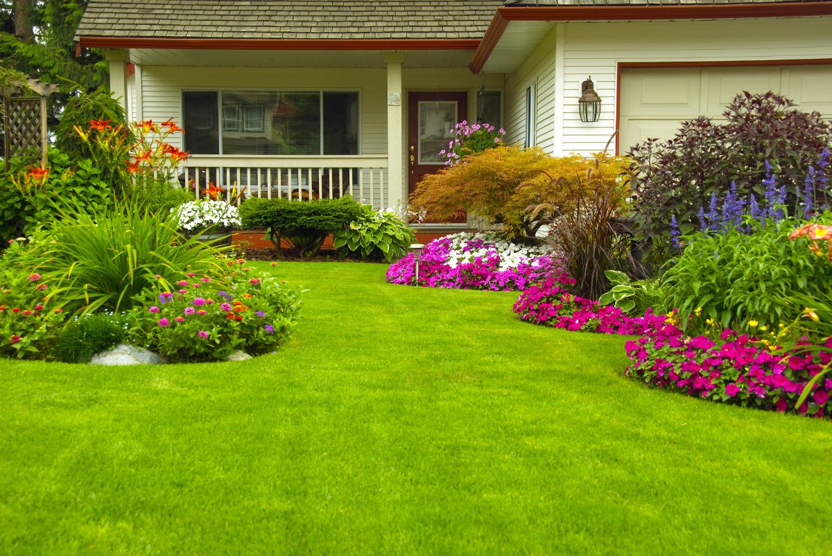 A beautiful blooming perennial garden.