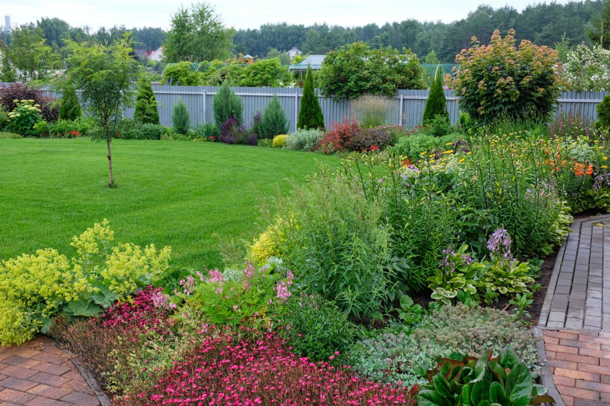 A beautiful backyard garden with a lot of shrubs and blooming flowers.