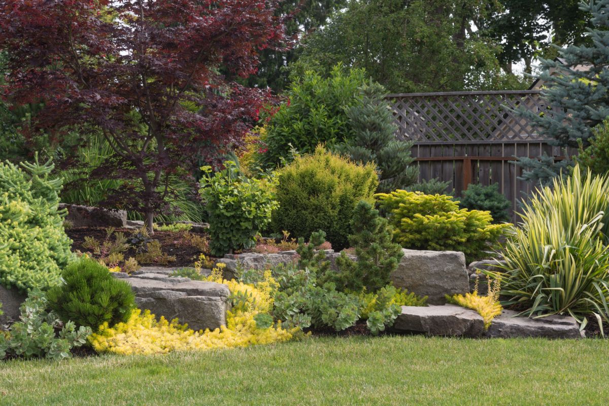 A backyard garden with a lot of perennial shrubs.