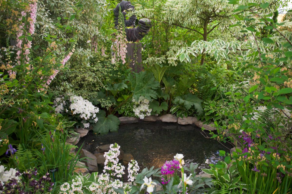 Different varieties of blooming perennials around the pond.