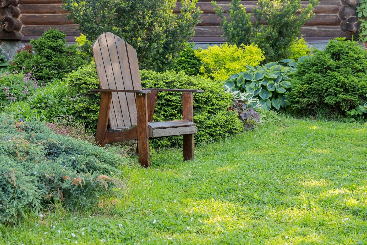 A beautiful perennial backyard garden with a wooden chair.