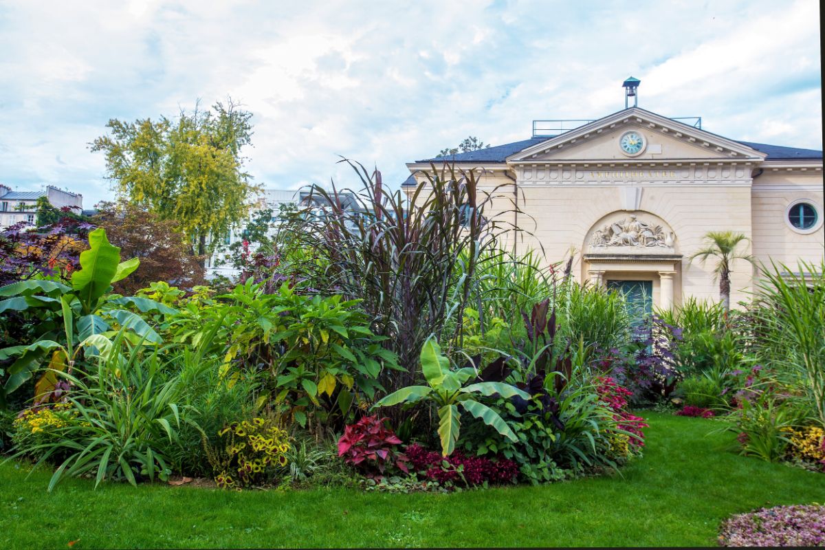 A backyard garden with beautiful tall perennials.