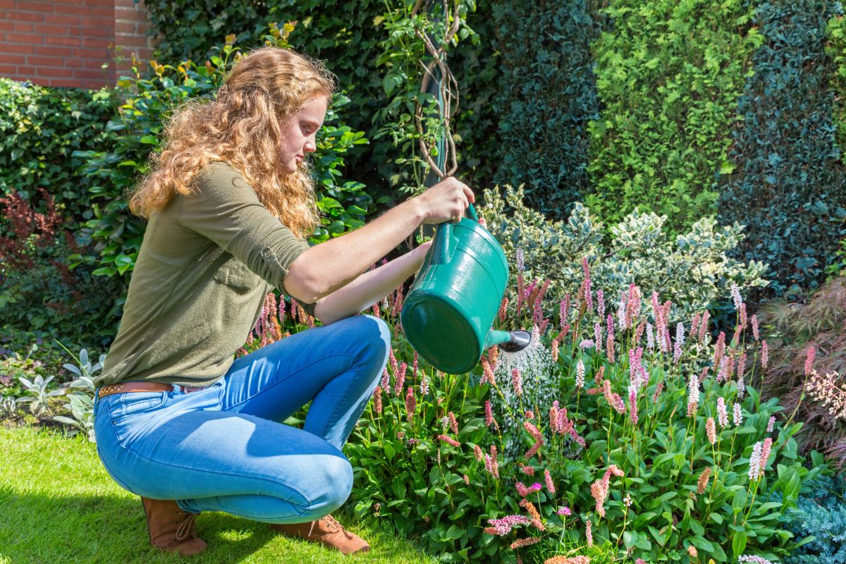 A young woman holding a watering can and watering blooming flowers.