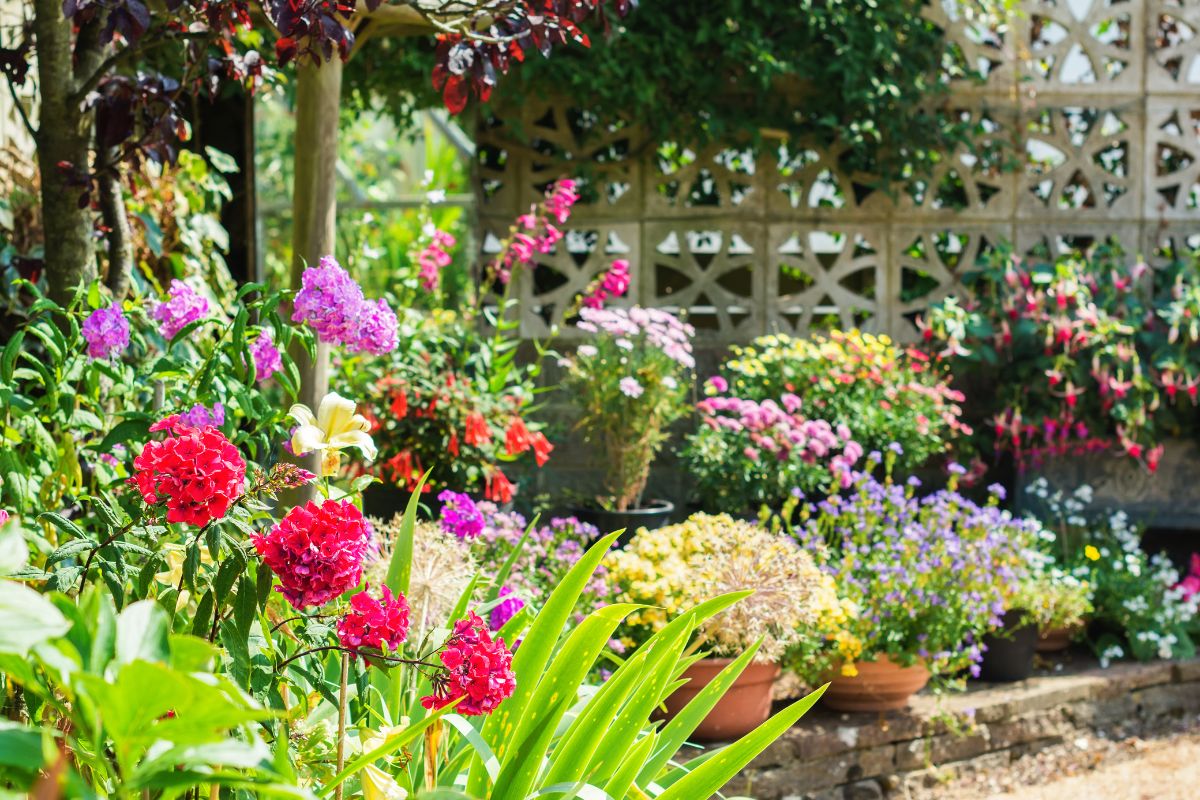 A beautiful blooming backyard garden on a sunny day.