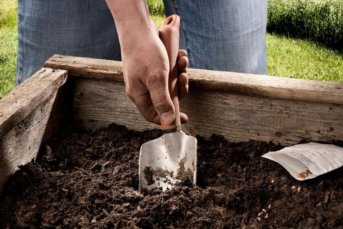 A gardener with a small shovel tilling soil in a raised garden bed.