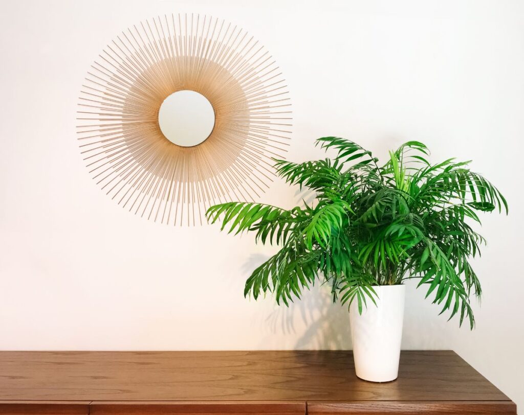 30 Best Plants For Rooms With No Windows