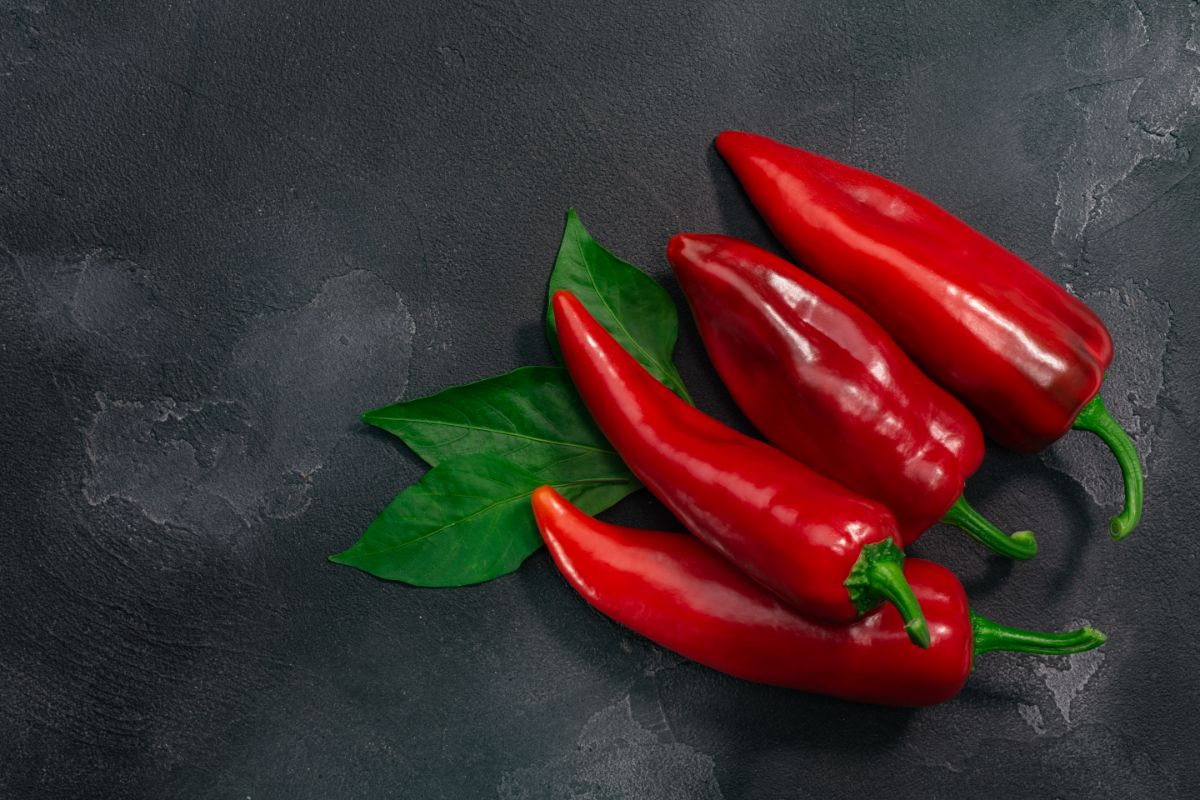 A bunch of ripe Marconi Red Peppers on a black table.