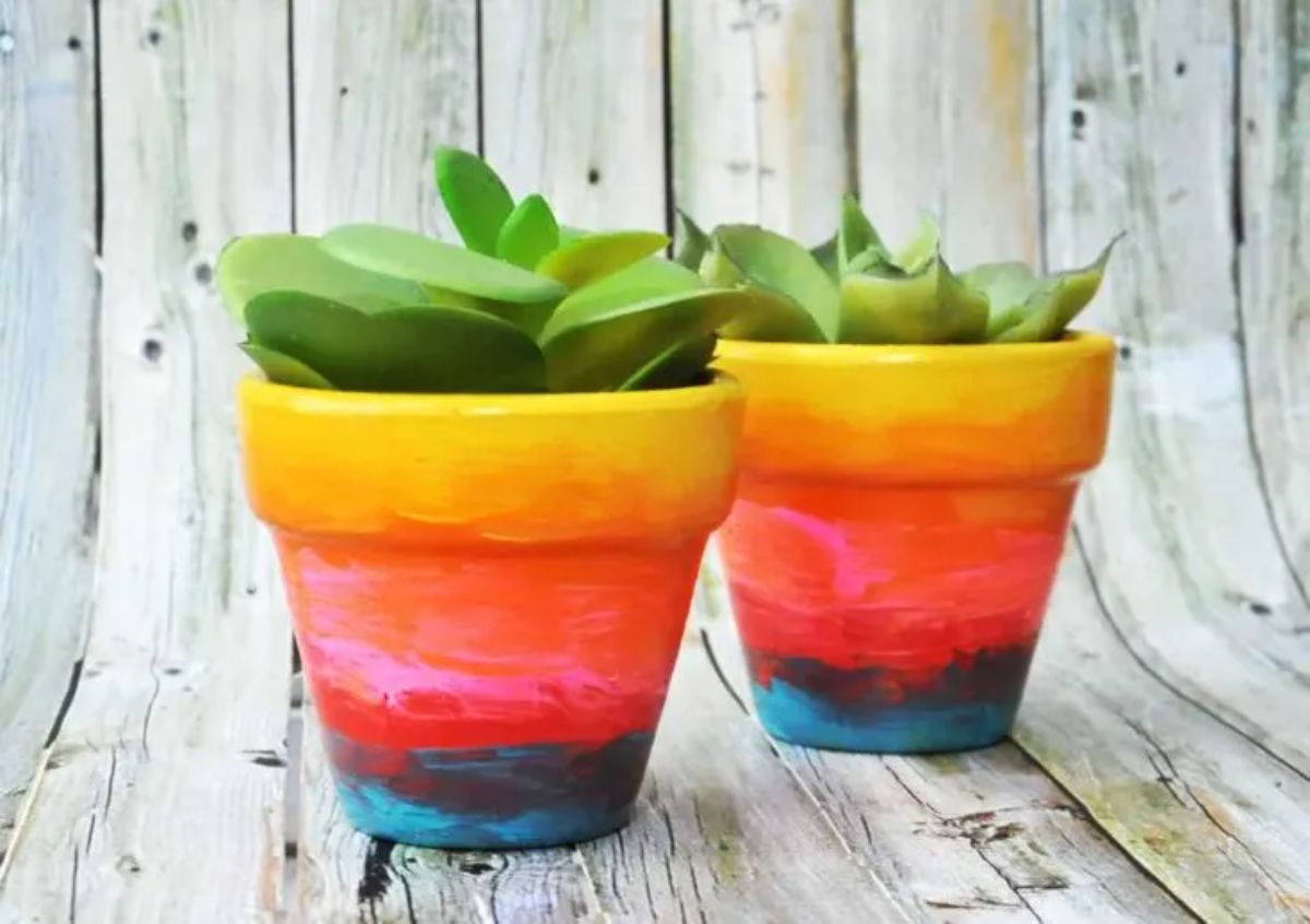 Two rainbow hand painted flowerpots.