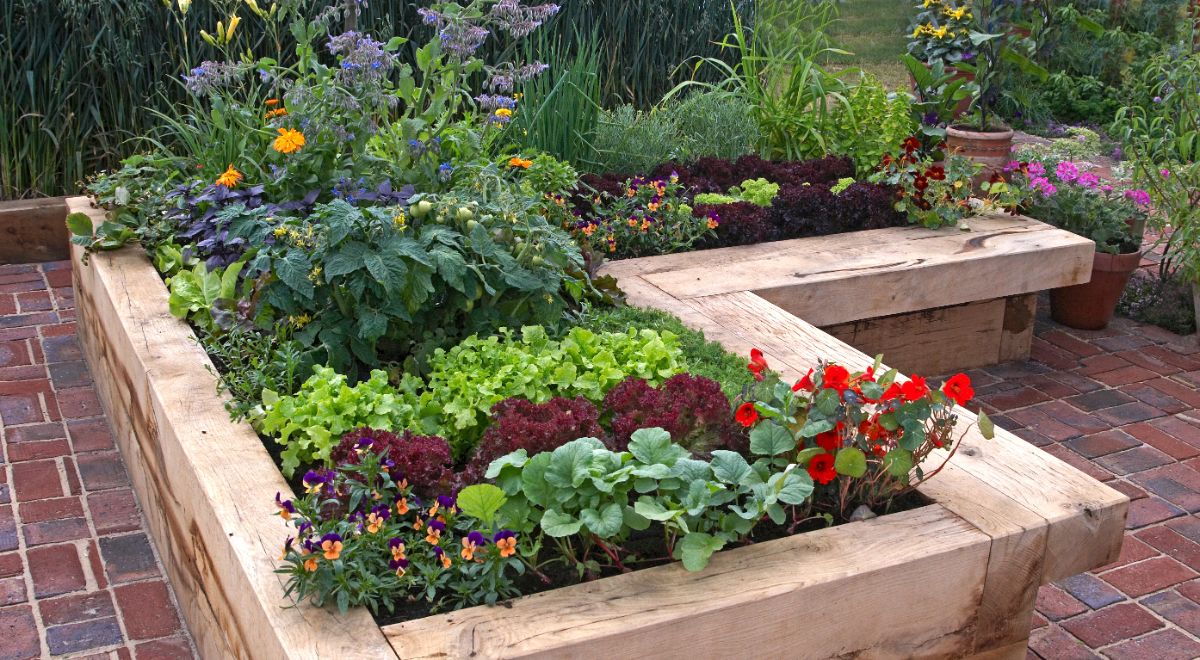 Wooden raised bed with different varieties of flowers.