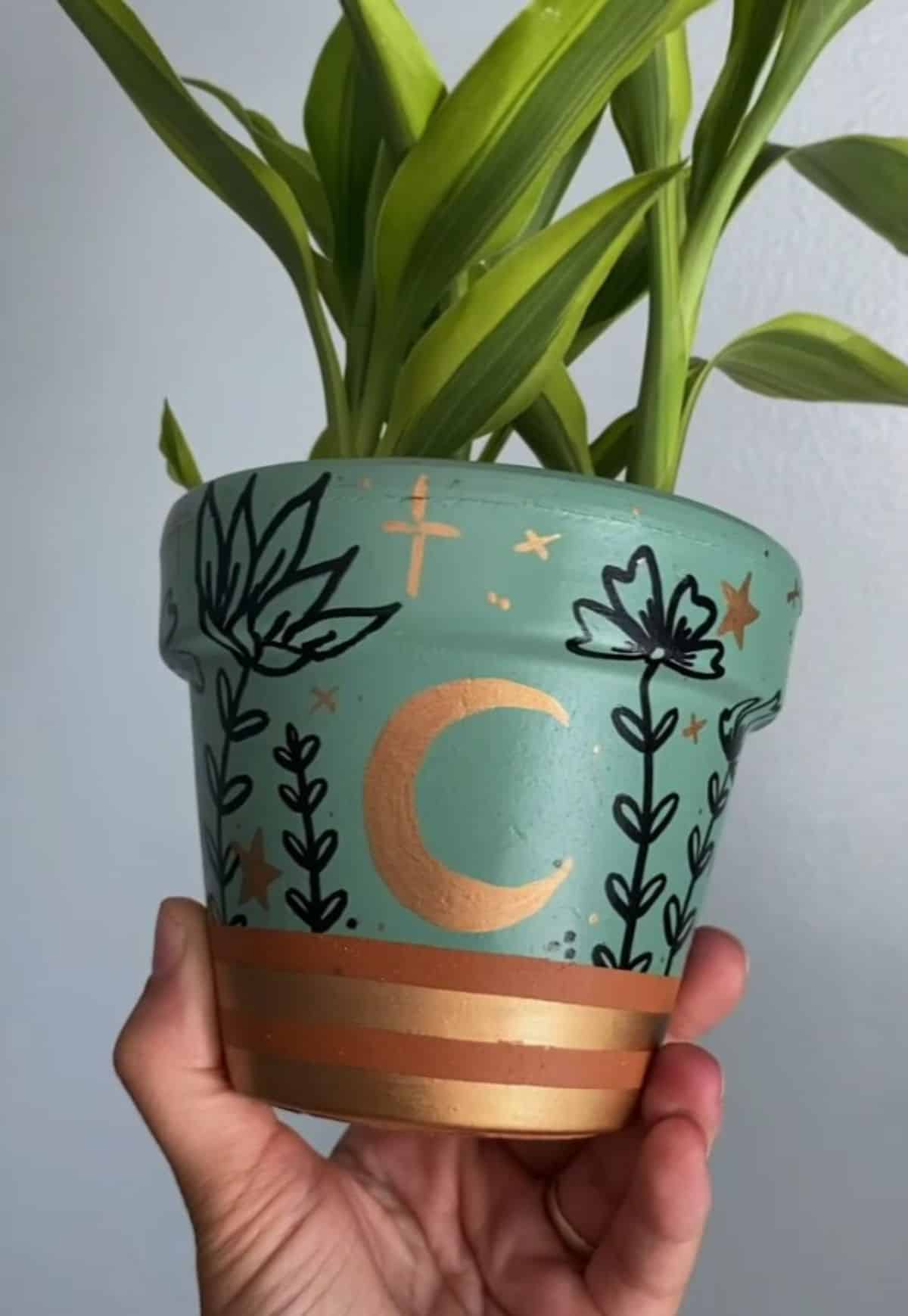 A hand holding a Moon and Stars Flower Pot with a plant.