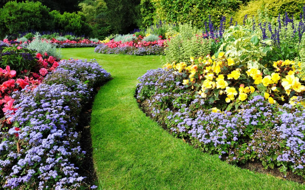 Magical Flower Garden With Pathway