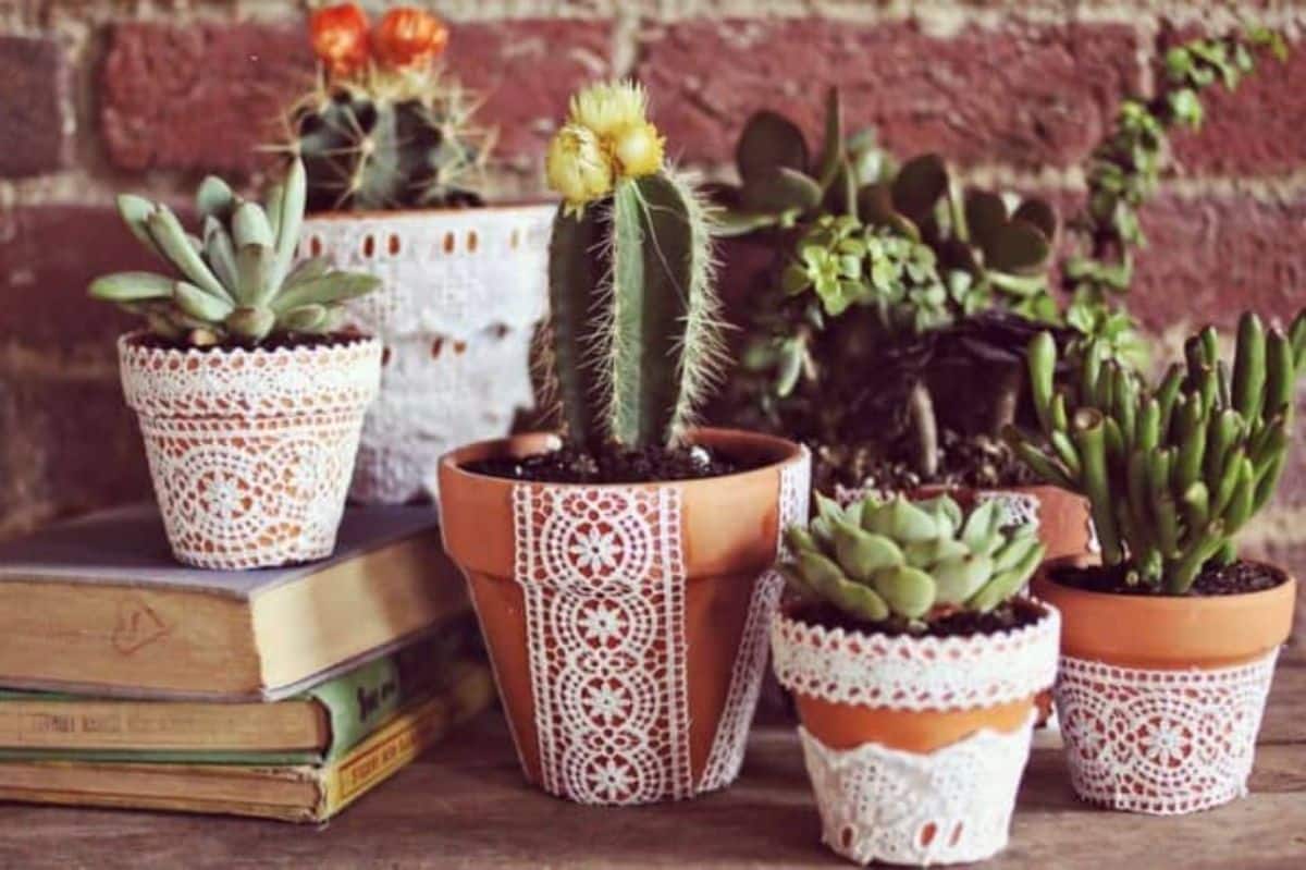 Dainty Lacey Flower Pots with succulents.