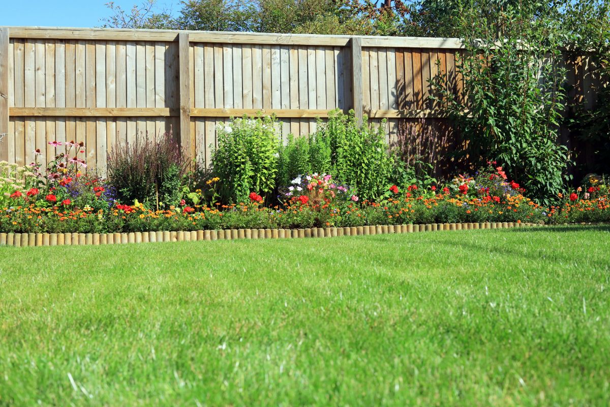 Backyard garden with a nice lawn and blooming plants near a fence.