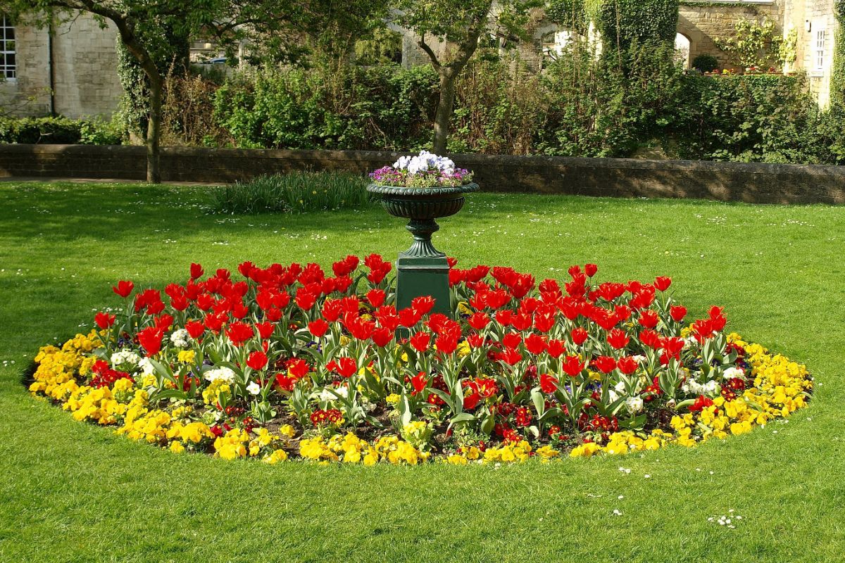 Different varieties of blooming flowers in a round shape flower bed.