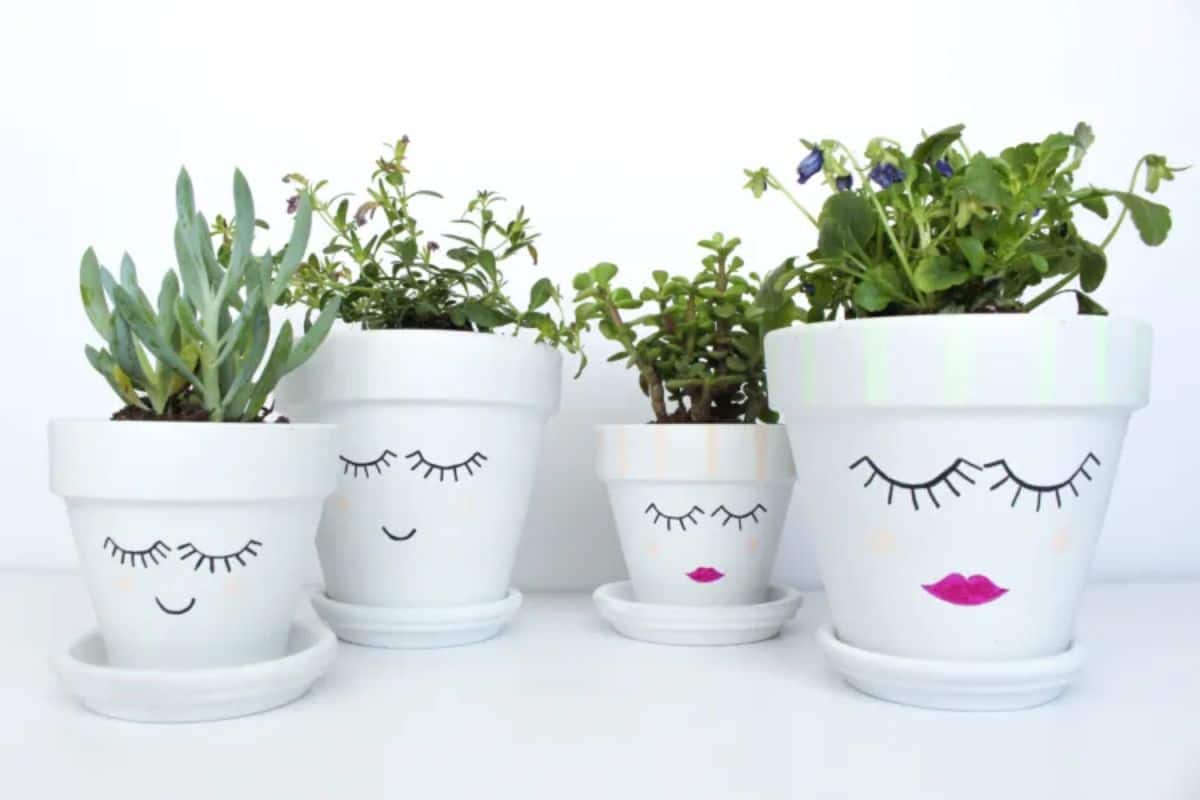 Five expression hand-painted flowerpots.