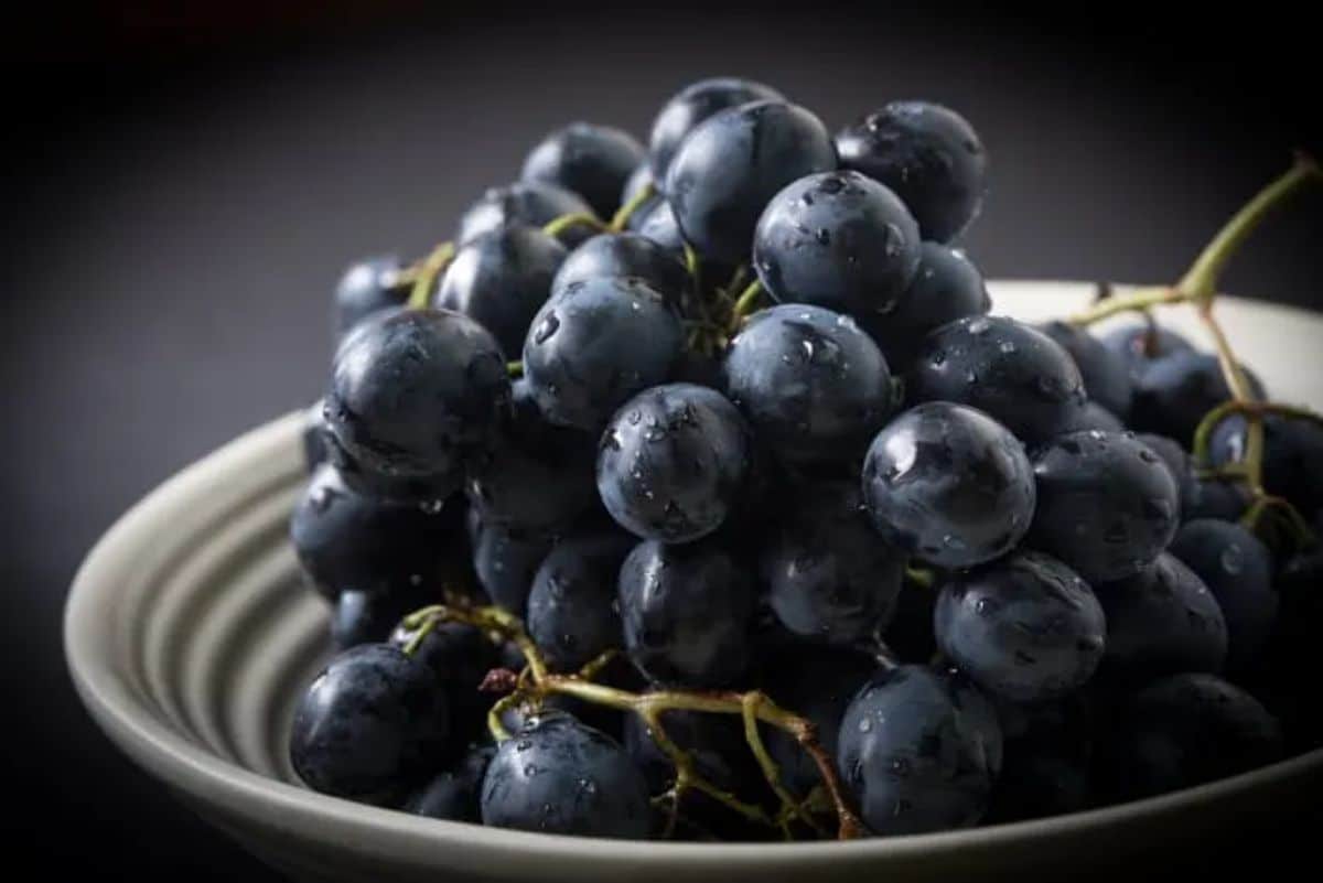 A cluster of Black Emeralds grape variety in a bowl.