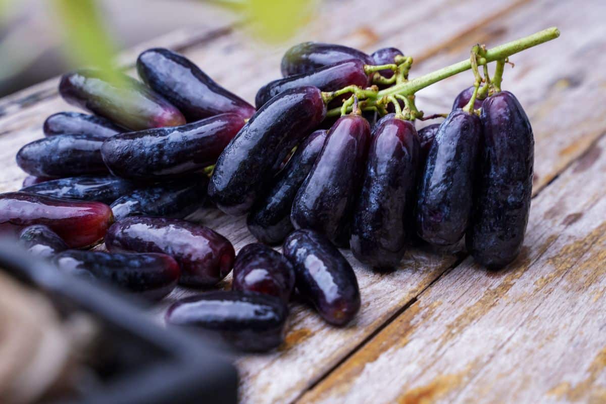 Ripe Black Sapphire Grapes on a wooden table.
