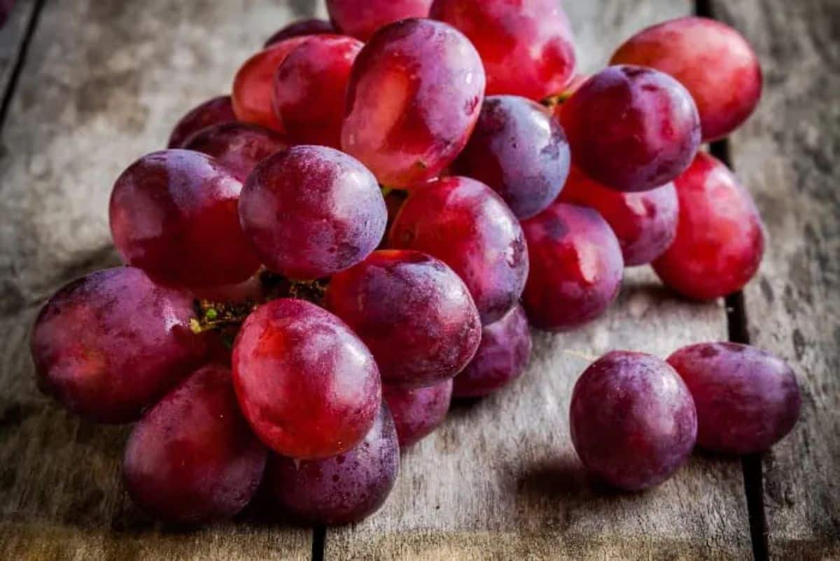 A close-up of a ripe Gum Drop Grape on a wooden table.