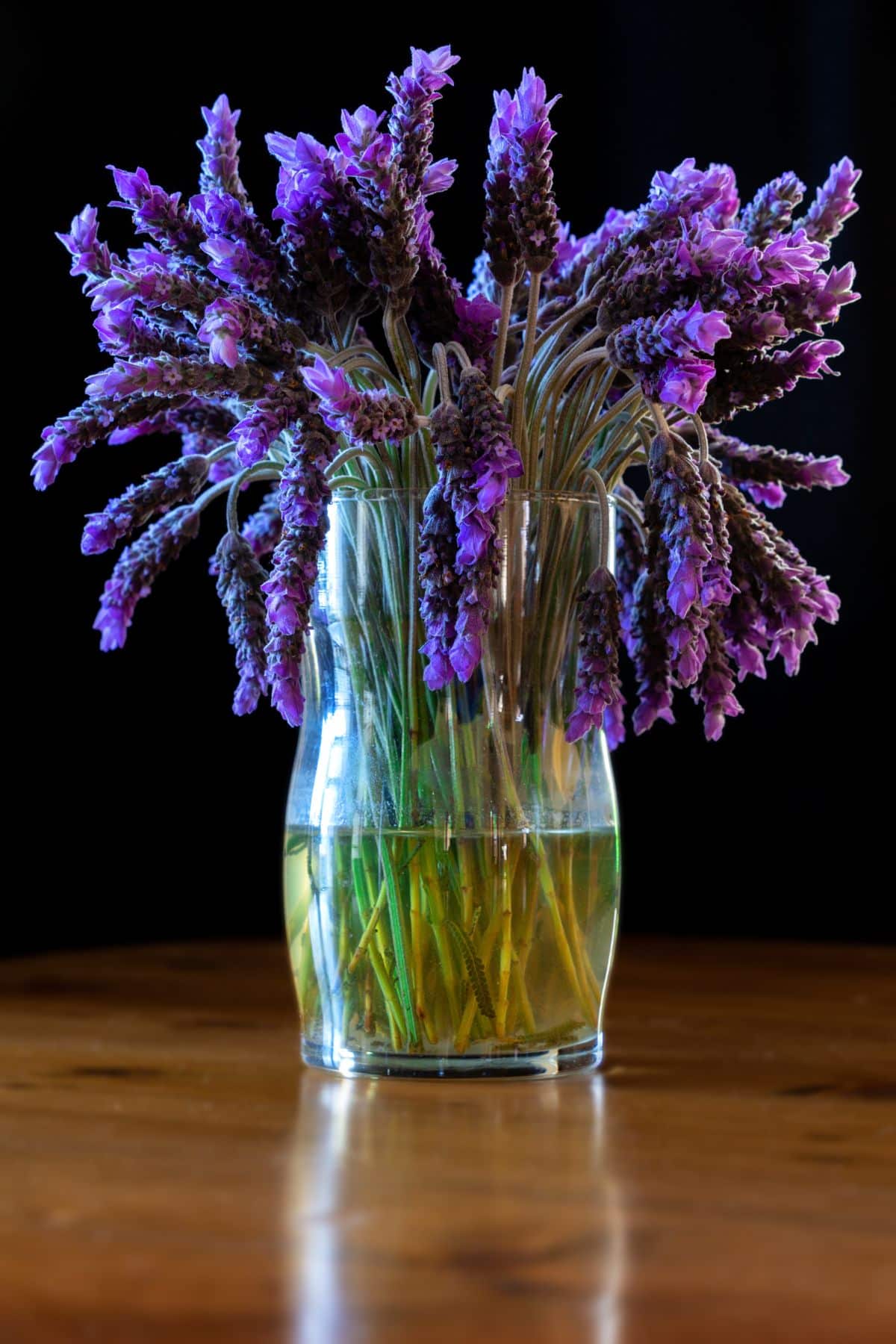 Lavender cuttings in a glass container with water.