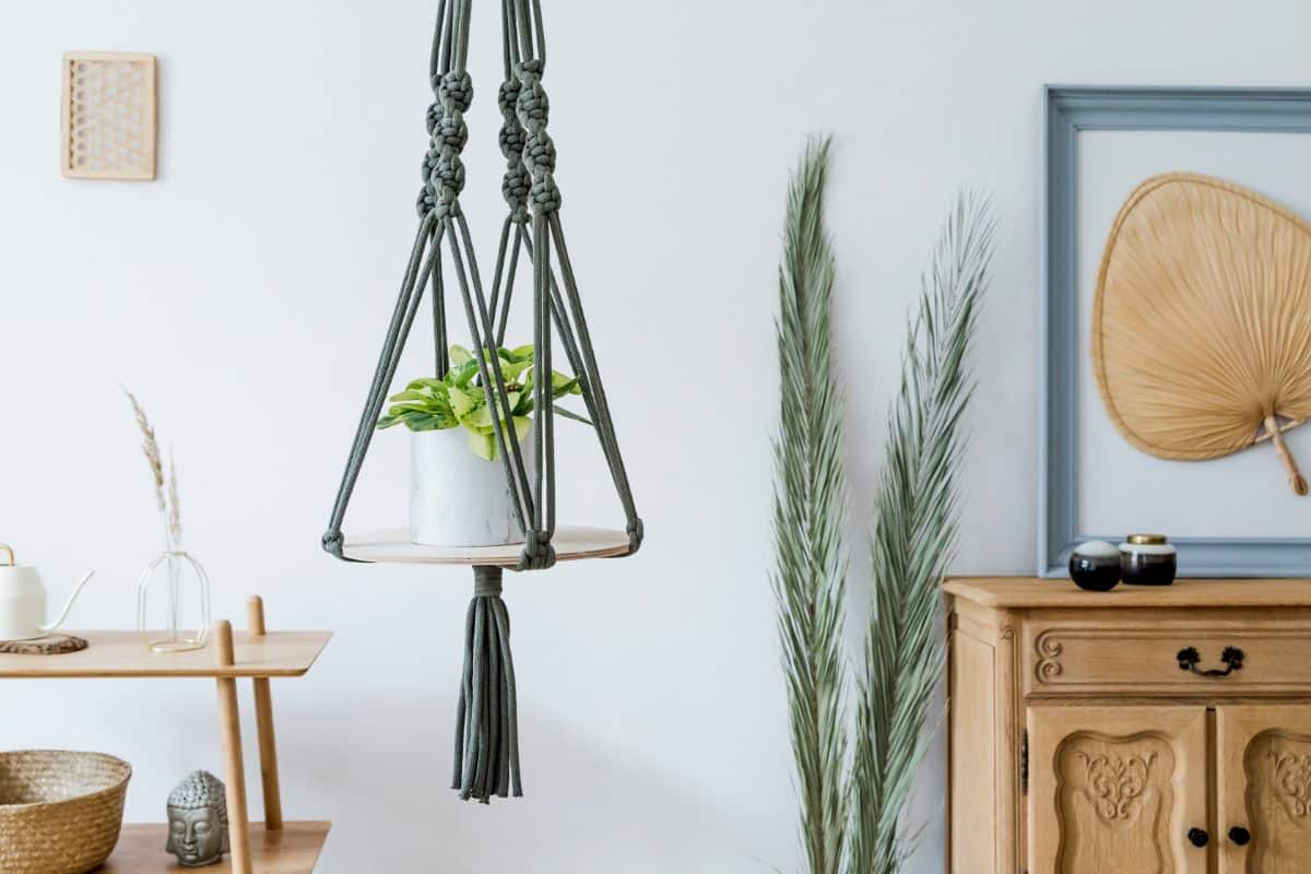 A macrame shelf with a live plant in a pot.