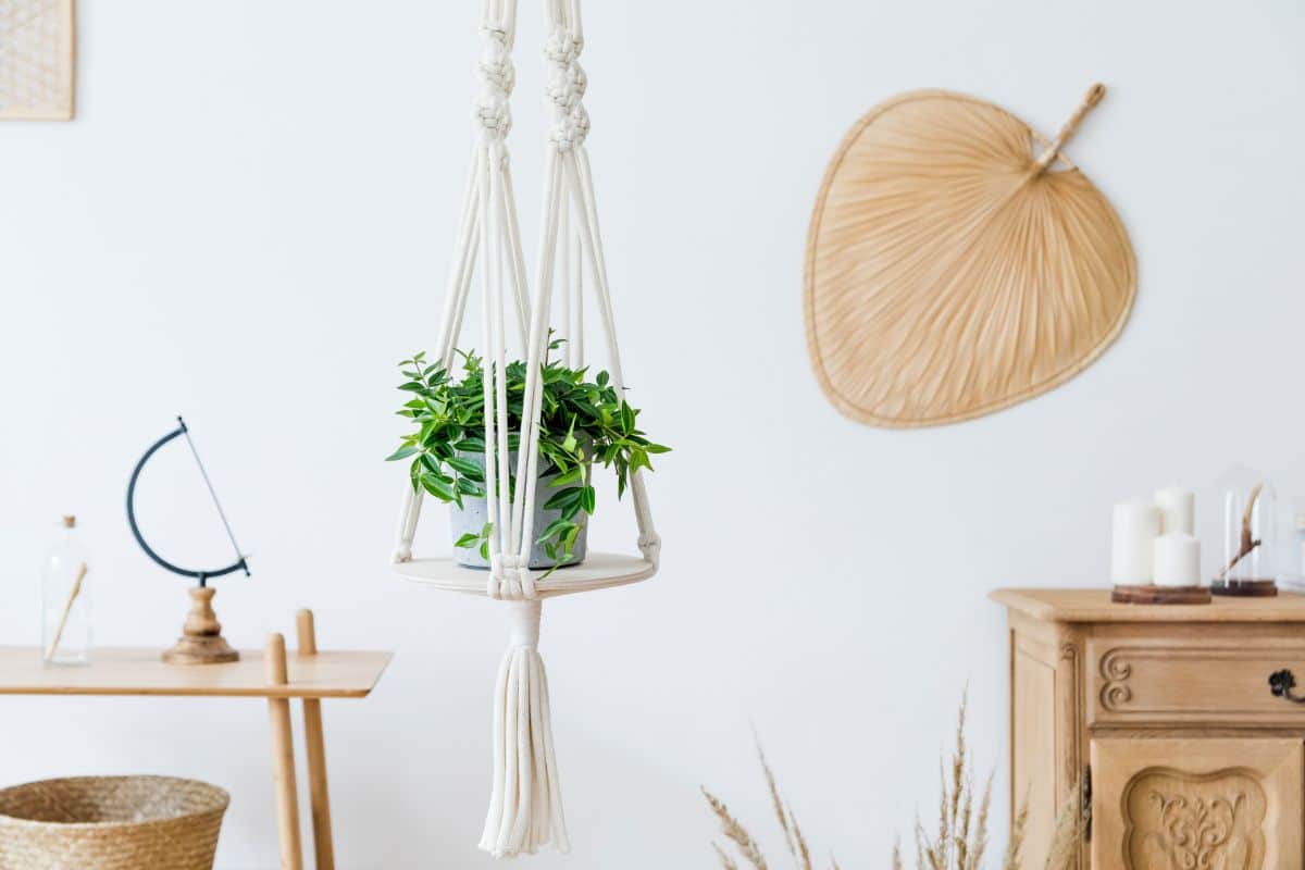 A macrame shelf with a live plant in a pot.