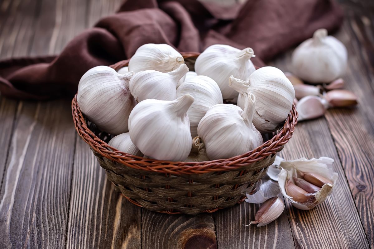 Organic garlic heads in a small basket on a wooden table.