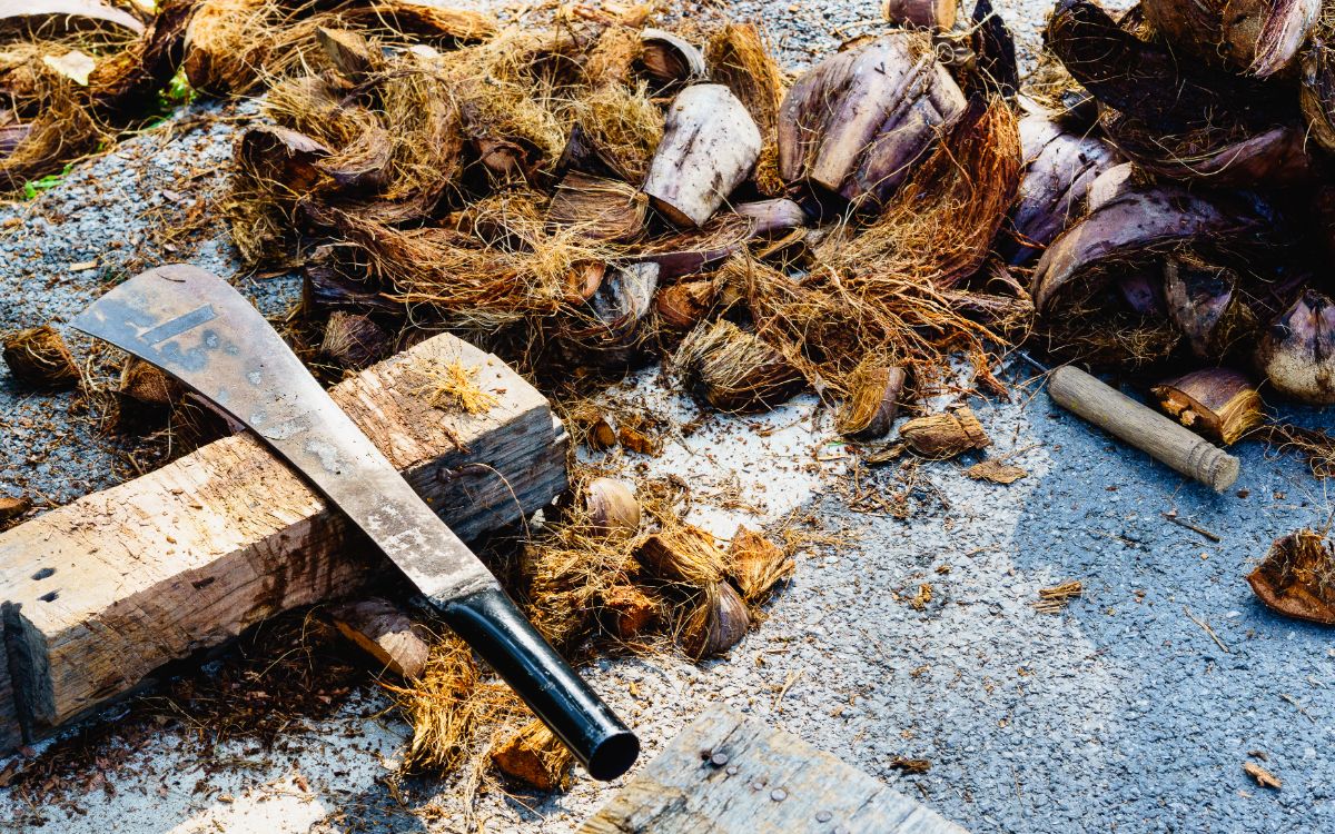 Process of making Coconut Coir - chopping coconut shells with a machete.