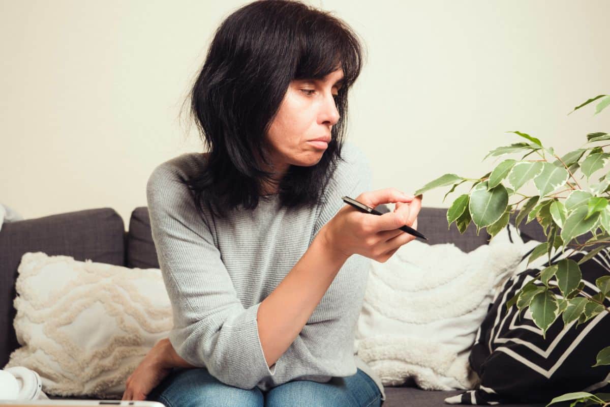 A confused woman holding a ficus tree leaf.